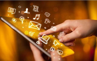 科技金融崛起与互联网安全服务 赋能小麦金融网新篇章